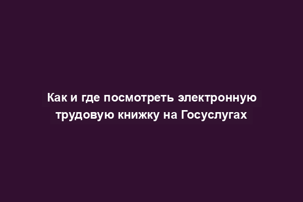 Как и где посмотреть электронную трудовую книжку на Госуслугах