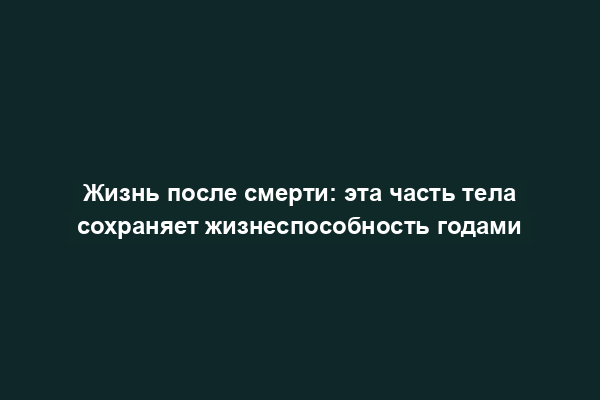 Жизнь после смерти: эта часть тела сохраняет жизнеспособность годами